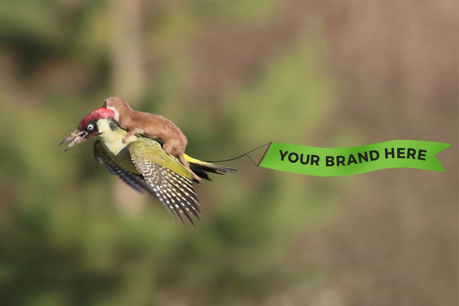 Make your brand viral: Get free brand exposure with these tips!
